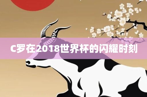 C罗 第4页