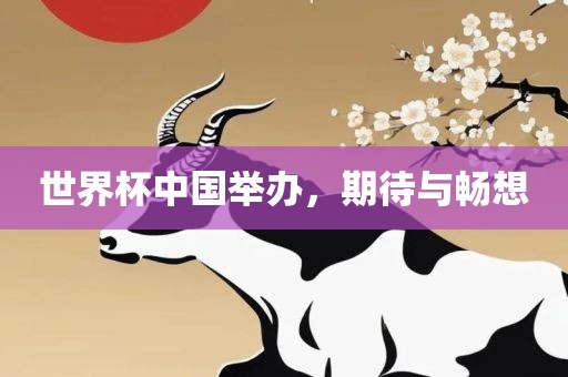 世界杯中国举办，期待与畅想