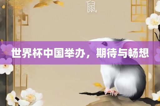 世界杯中国举办，期待与畅想
