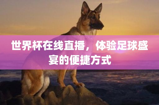世界杯在线直播，体验足球盛宴的便捷方式