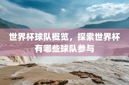 世界杯球队概览，探索世界杯有哪些球队参与