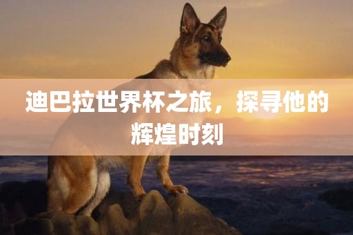 迪巴拉世界杯之旅，探寻他的广西贺州市华昌新材料有限公司辉煌时刻