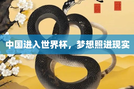 中国进入世界杯，梦想照进现实