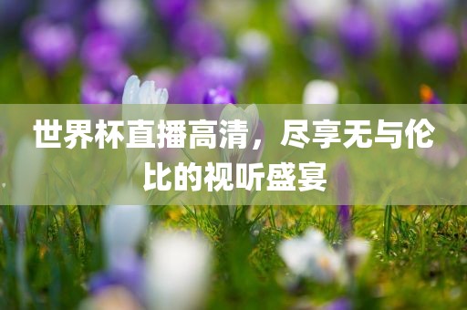 世界杯直播高清，尽享无与伦比的视听盛宴