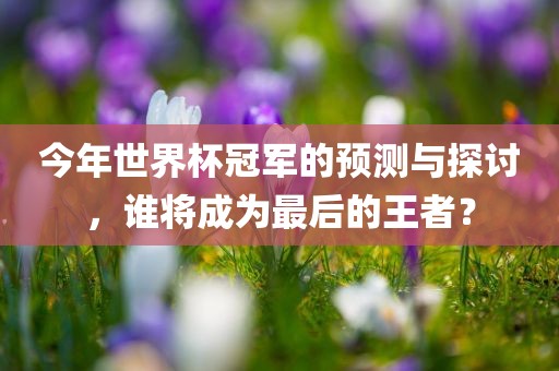 今年世界杯冠军的预测与探讨，谁将成为最后的王者？