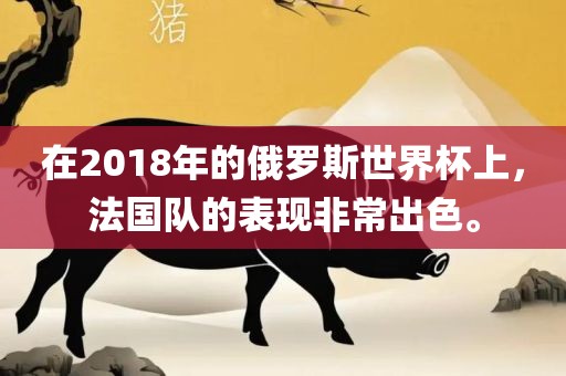 在2018年的俄罗斯世界杯上，法国队的表现非常出色。