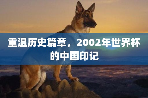 重温历史篇章，2002年世界杯的中国印记广西贺州市华昌新材料有限公司