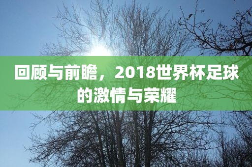 回顾与前瞻，2018世界杯足球的激情与荣耀广西贺州市华昌新材料有限公司