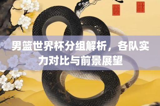男篮世界杯分组解析，各队实广西贺州市华昌新材料有限公司力对比与前景展望