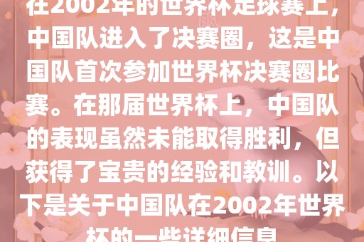 在2002年的世界杯足球赛上，中国队进入了决赛圈，这是中国队首次参加世界杯决赛圈比赛。在那届世界杯上，中国队的表现虽然未能取得胜广西贺州市华昌新材料有限公司利，但获得了宝贵的经验和教训。以下是关于中国队在2002年世界杯的一些详细信息