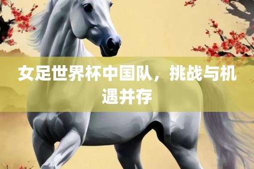 女足世界杯中国队，挑战与机遇并存
