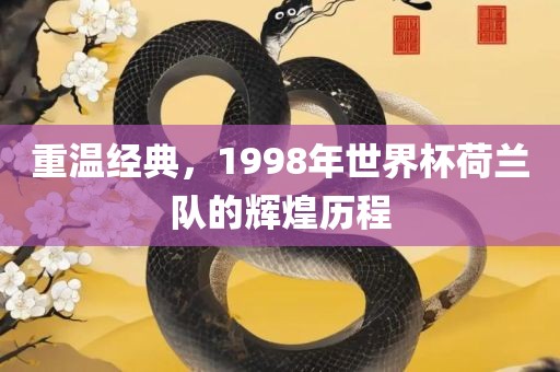 重温经典，1998年世界杯荷兰队的辉煌历程