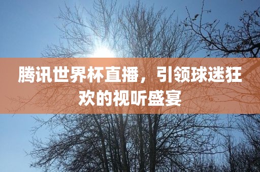 腾讯世界杯直播，引领球迷狂欢的视听盛宴
