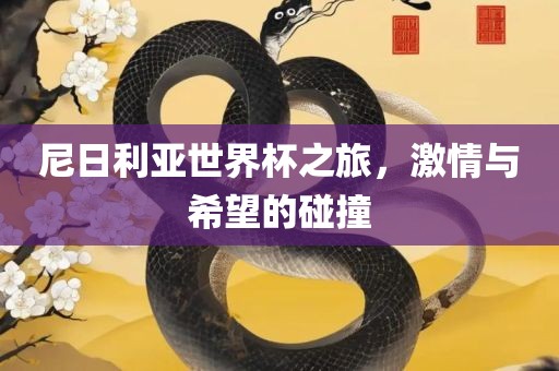 尼日利亚世界杯之旅，激情与希望的碰撞广西贺州市华昌新材料有限公司