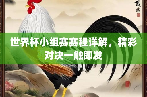 世界杯小组赛赛程详解，精彩对决一触即发广西贺州市华昌新材料有限公司