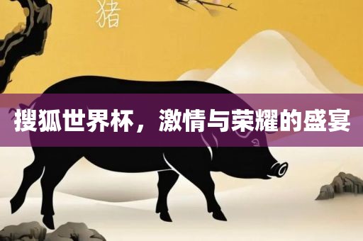 搜狐世界杯，激情与荣耀的盛宴