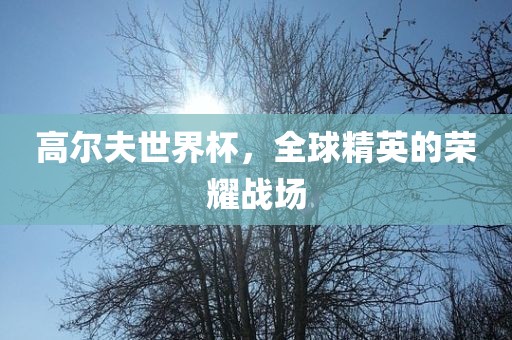 高尔夫世界杯，全球精英的荣耀战场