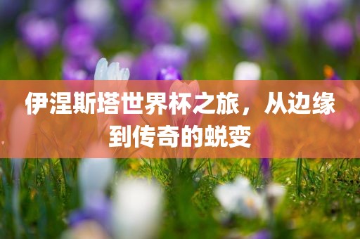 伊涅斯塔世界杯之旅，从边缘到传奇的蜕变