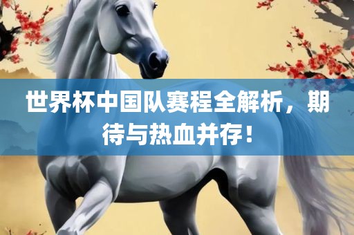世界杯中国队赛程全解析，期待与热血并存！