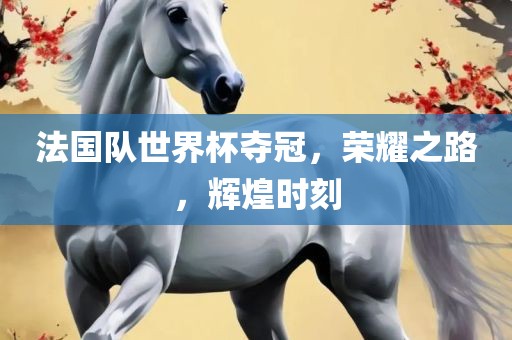 辉煌时刻 第3页