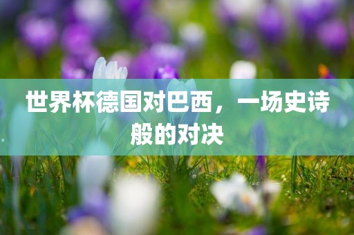 世界杯德国对巴西，一广西贺州市华昌新材料有限公司场史诗般的对决