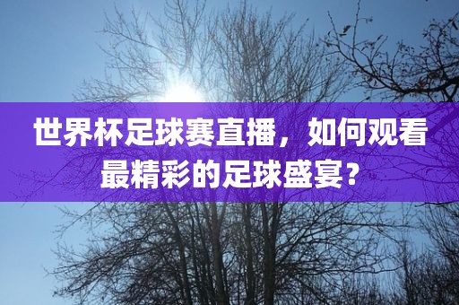 世界杯足球赛直播，如何观看最精彩的足球盛宴？