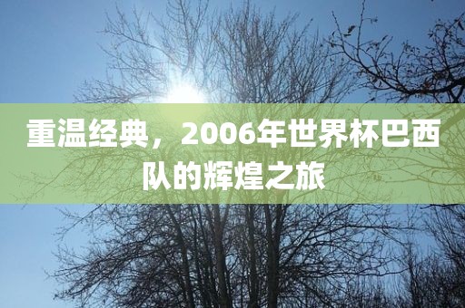 重温经典，2006年世界杯巴西队的辉煌之旅