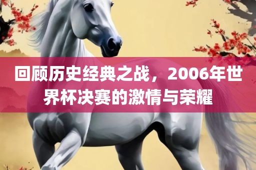 回顾历史经典之战，2006年世界杯决赛的激情与荣耀