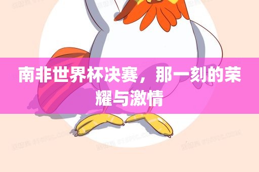南非世界杯决赛，那一刻的荣耀与激情