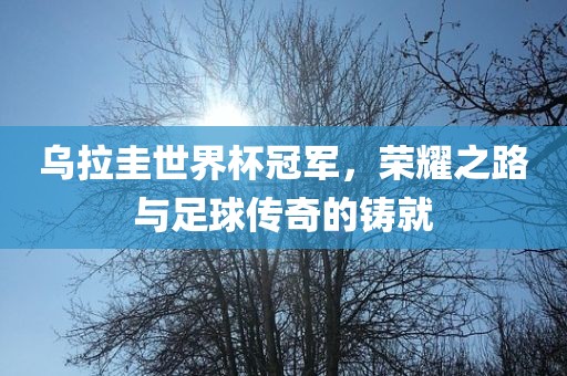 乌拉圭世界杯冠军，荣耀之路与足球传奇的铸就