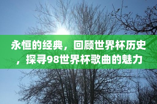 永恒的经典，回顾世界杯历史，探寻98世界杯歌曲的魅力广西贺州市华昌新材料有限公司