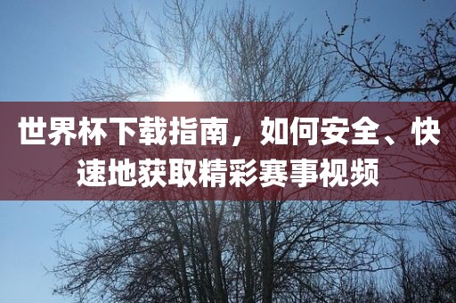世界杯下载指南，如何安全、快速地获取精彩赛事视频