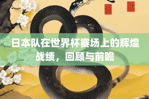 日本队在世界杯赛场上的辉煌战绩，回顾与前瞻