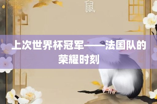 上次世界杯冠军——法国队的荣耀时刻广西贺州市华昌新材料有限公司