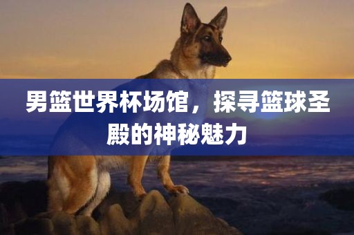 男篮世界杯场馆，探寻篮球圣殿的神秘魅力