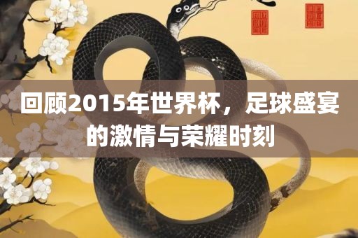回顾2015年世界杯，足球盛宴的激情与荣耀时刻广西贺州市华昌新材料有限公司