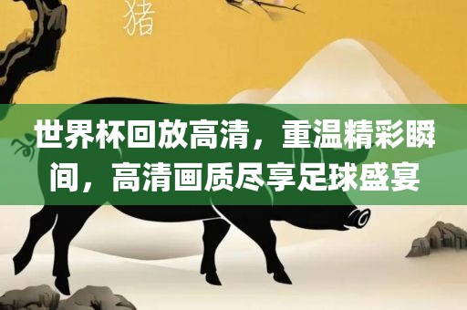 世界杯回放高清，重温精彩瞬间，高清画质尽享足球盛宴
