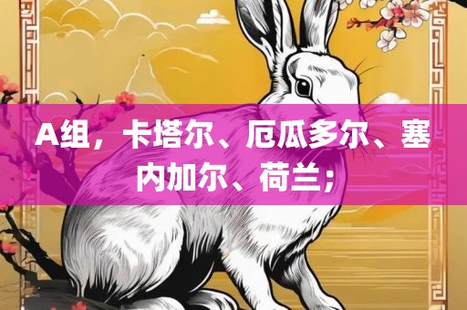 A组，卡塔尔、厄瓜多尔、塞内加尔、荷兰；