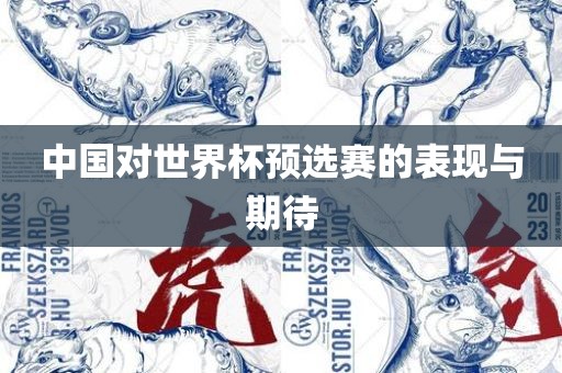 中国对世界杯预选赛的表现与期待广西贺州市华昌新材料有限公司