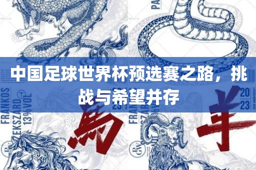 中国足球世界杯预选赛之路，挑战与希望并存