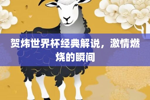 贺炜世界杯经典解说，激情燃烧的瞬间