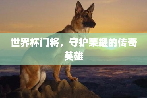 世界杯门将，守护荣耀的传奇英雄