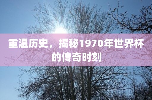 重温历史，揭秘1970年世界杯的传奇时刻广西贺州市华昌新材料有限公司