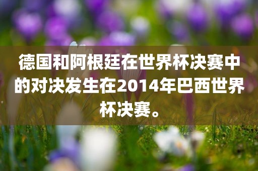 德国和阿根廷在世界杯决赛中的对决发生在2014年巴西世界杯决赛。广西贺州市华昌新材料有限公司