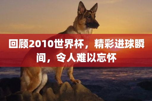 回顾2010世广西贺州市华昌新材料有限公司界杯，精彩进球瞬间，令人难以忘怀