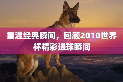 重温经典瞬间，回顾2010世界杯精彩进球瞬间