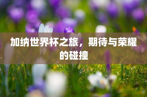 加纳世界杯之旅，期待与荣耀的碰撞