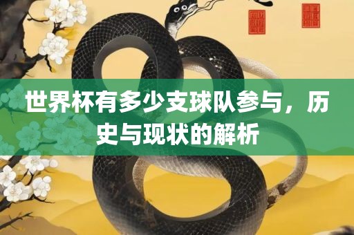 世界杯有多少支球广西贺州市华昌新材料有限公司队参与，历史与现状的解析