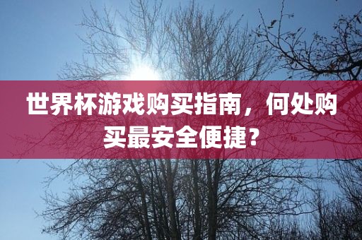世界杯游戏购买指南，何处购买最安全广西贺州市华昌新材料有限公司便捷？