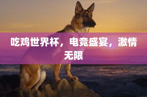 吃鸡世界杯，电竞盛宴，激情无限